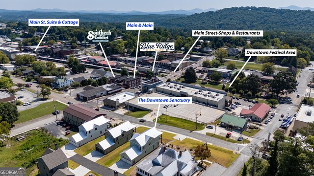 24 Harrison Ln, Blue Ridge, GA 30513 - birds eye view of property featuring a view of trees and a mountain view