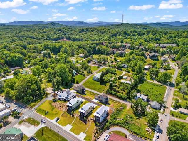 24 Harrison Ln, Blue Ridge, GA 30513 - aerial view featuring a mountain view and a view of trees