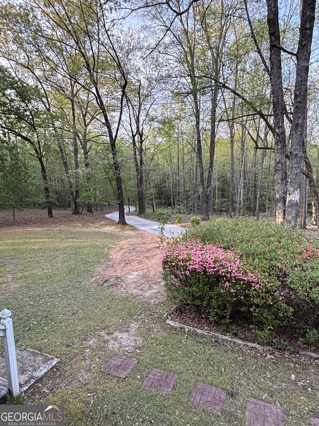 575 Lake Laurel Rd, Milledgeville, GA 31061 - view of yard featuring a forest view