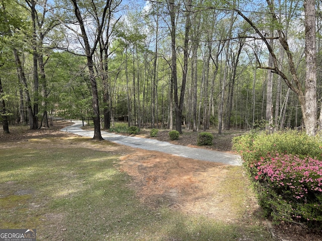 575 Lake Laurel Rd, Milledgeville, GA 31061 - view of yard featuring a forest view