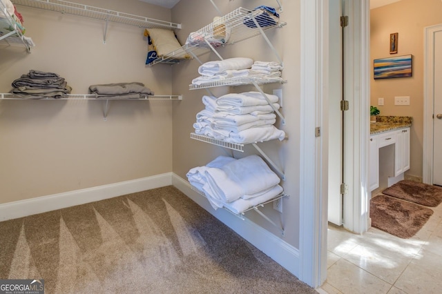 667 Cardinal Dr, Monticello, GA 31064 - spacious closet featuring light carpet