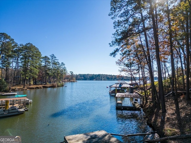 667 Cardinal Dr, Monticello, GA 31064 - view of water feature