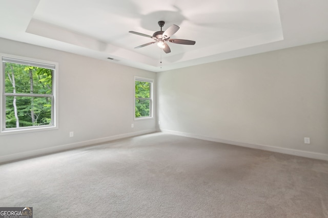 557 Winder Trl, Canton, GA 30114 - spare room with a raised ceiling, a ceiling fan, and light carpet