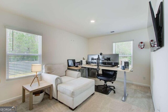 221 Sullivan St, Hampton, GA 30228 - office space featuring baseboards and light colored carpet