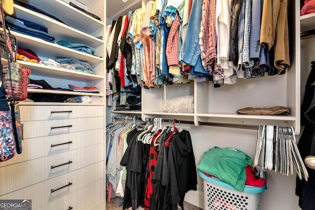 view of walk in closet