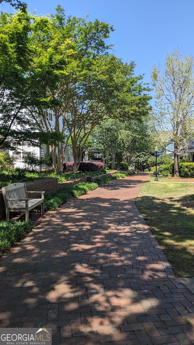 234 Carlyle Park Dr NE, Atlanta, GA 30307 - view of home's community