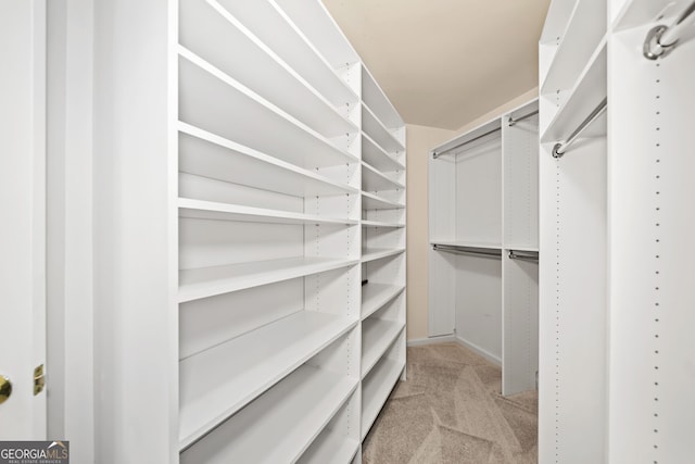 walk in closet featuring carpet