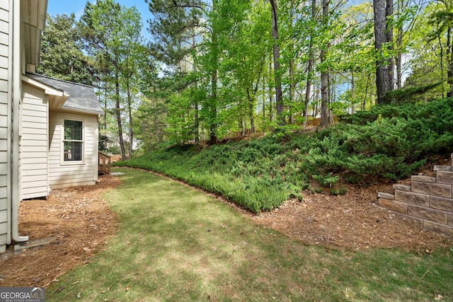 view of yard