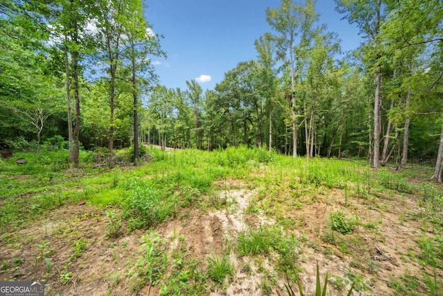 9374 High Point Rd, Villa Rica, GA 30180