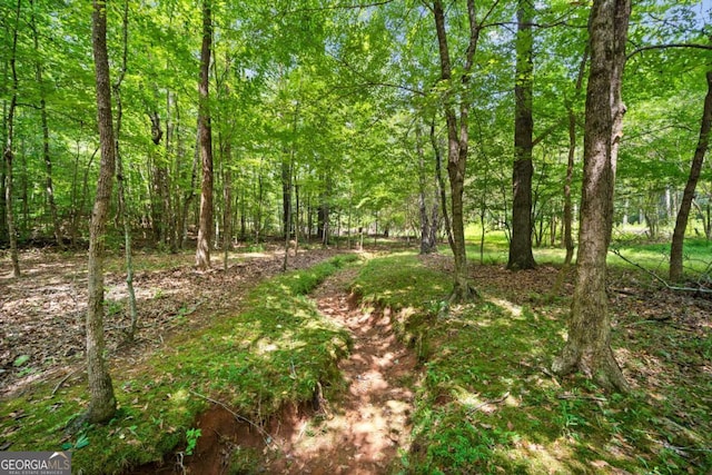 9374 High Point Rd, Villa Rica, GA 30180