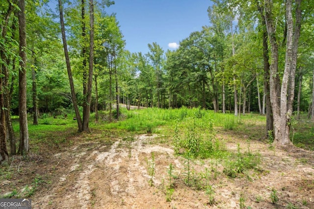 9374 High Point Rd, Villa Rica, GA 30180