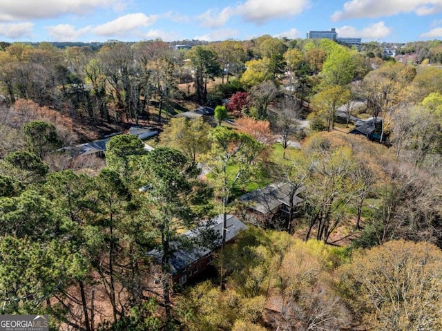 1505 Robinhood Trl, Gainesville, GA 30501 - drone / aerial view of a forest