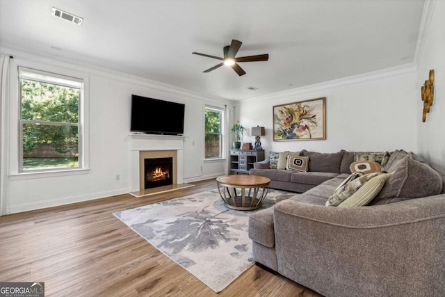 living room featuring a warm lit fireplace, visible vents, ornamental molding, wood finished floors, and a ceiling fan
