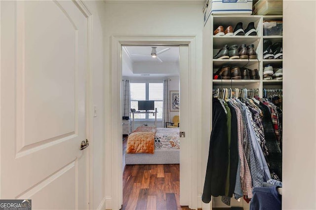 view of closet