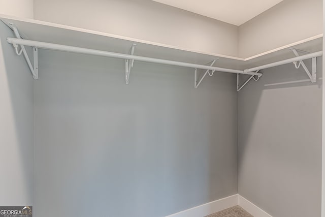 view of walk in closet