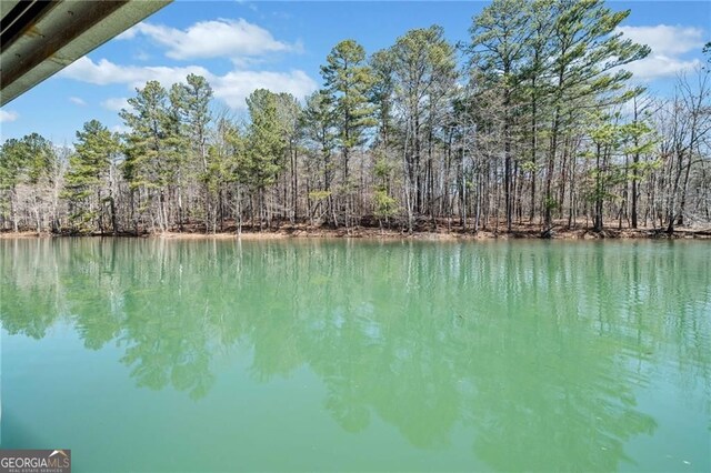 3795 Duckcove Way, Cumming, GA 30041 - water view