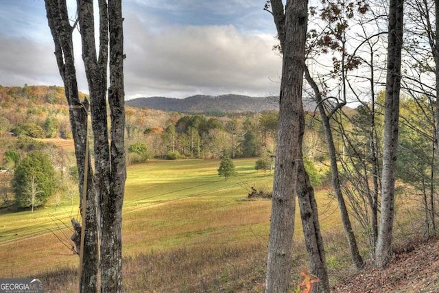 mountain view featuring a wooded view
