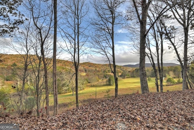 view of yard featuring a mountain view