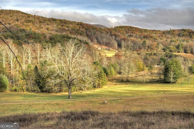 property view of mountains with a forest view