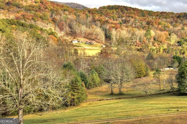 property view of mountains featuring a wooded view