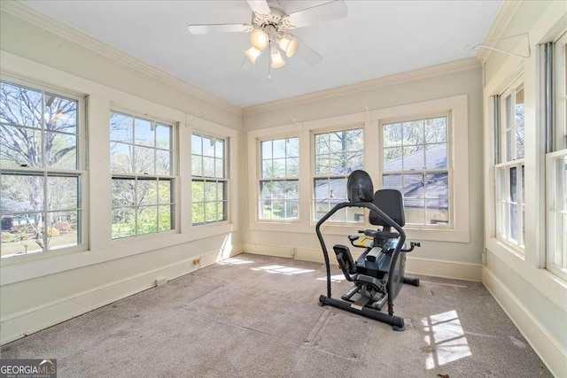 2265 E Lake Rd NE, Atlanta, GA 30307 - workout area featuring carpet floors, crown molding, baseboards, and ceiling fan