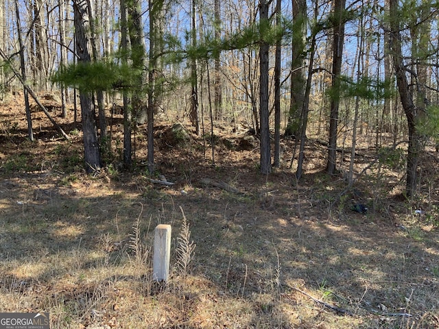 2332 Carrington Dr, Ellenwood, GA 30294