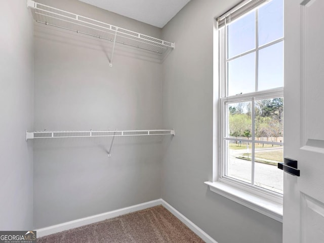7229 Georges Way, Morrow, GA 30260 - walk in closet with carpet