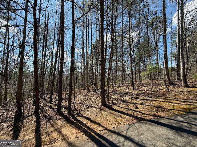 LOT105 Lancelot Loop, Clayton, GA 30525