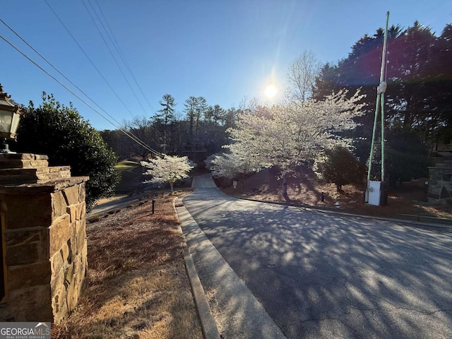 LOT105 Lancelot Loop, Clayton, GA 30525