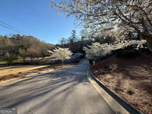 LOT105 Lancelot Loop, Clayton, GA 30525
