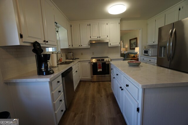 1848 Tenny Nelson Rd, Grantville, GA 30220 - kitchen with white cabinets, a sink, stainless steel appliances, and under cabinet range hood