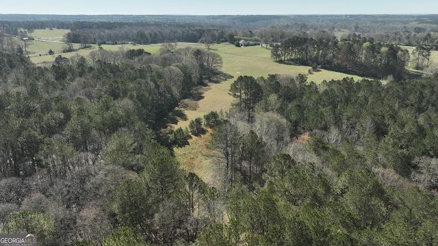 1848 Tenny Nelson Rd, Grantville, GA 30220 - aerial view