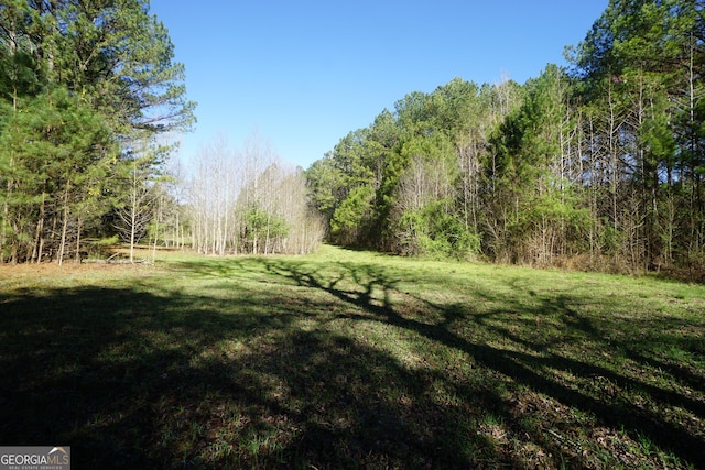 1848 Tenny Nelson Rd, Grantville, GA 30220 - view of yard featuring a view of trees