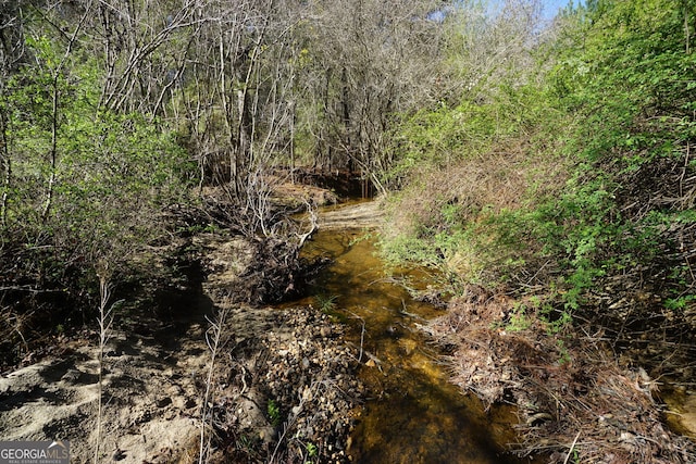 1848 Tenny Nelson Rd, Grantville, GA 30220 - view of nature with a forest view