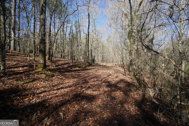 1848 Tenny Nelson Rd, Grantville, GA 30220 - view of nature featuring a forest view