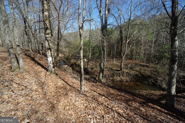 1848 Tenny Nelson Rd, Grantville, GA 30220 - view of landscape with a wooded view