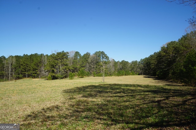 1848 Tenny Nelson Rd, Grantville, GA 30220 - view of yard featuring a forest view