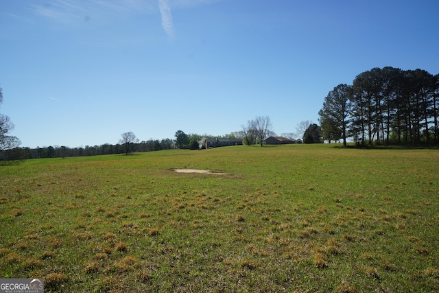 1848 Tenny Nelson Rd, Grantville, GA 30220 - view of yard with a rural view