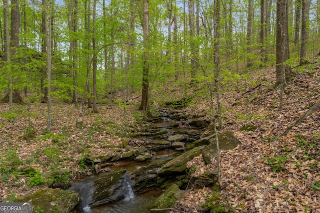 2977 Glover Dr, Cumming, GA 30040 - view of local wilderness
