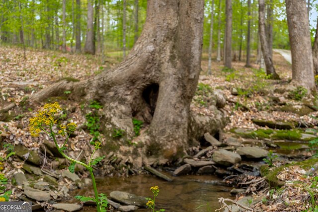 2977 Glover Dr, Cumming, GA 30040 - view of local wilderness