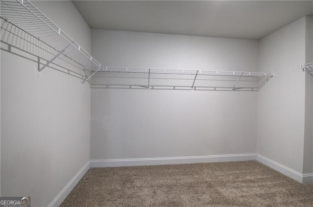 walk in closet featuring carpet floors