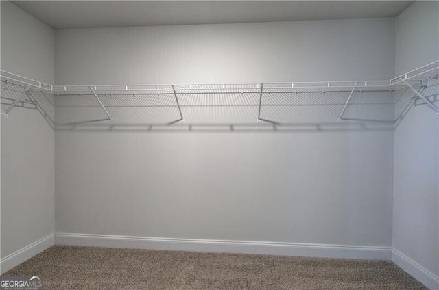 106 Lighthouse Cv SW, Adairsville, GA 30103 - walk in closet featuring carpet