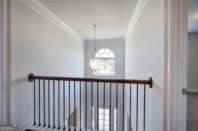 interior space featuring baseboards, carpet floors, and crown molding