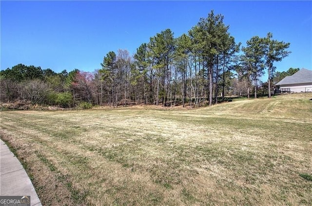 106 Lighthouse Cv SW, Adairsville, GA 30103 - view of green lawn