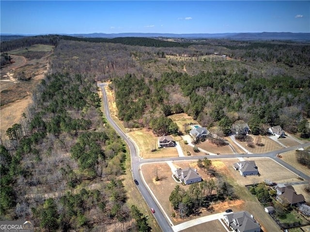 106 Lighthouse Cv SW, Adairsville, GA 30103 - aerial view of property's location featuring a forest