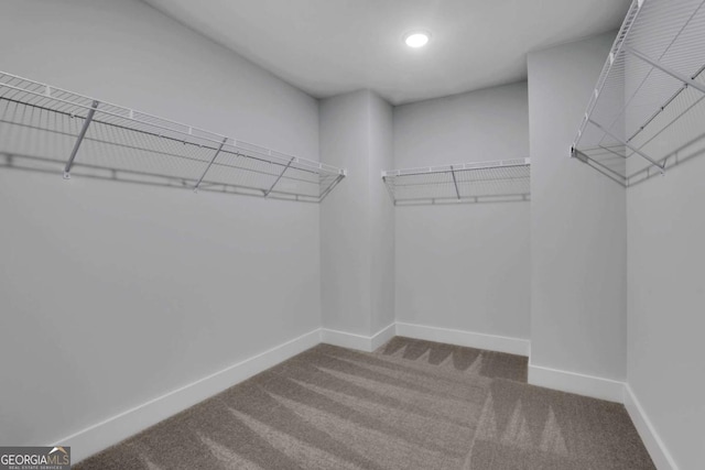 spacious closet with carpet
