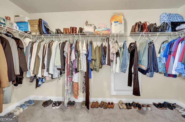 walk in closet featuring carpet