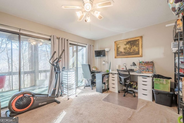 200 Villa Rd Unit 103, Jasper, GA 30143 - carpeted office space featuring a ceiling fan and a textured ceiling