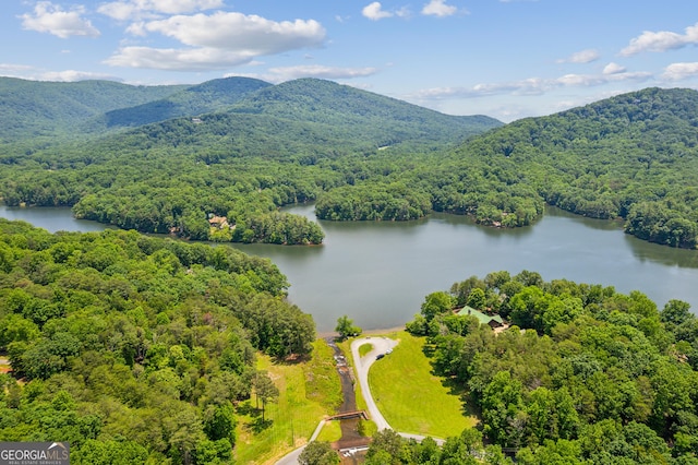 200 Villa Rd Unit 103, Jasper, GA 30143 - aerial view of a heavily wooded area and a water and mountain view