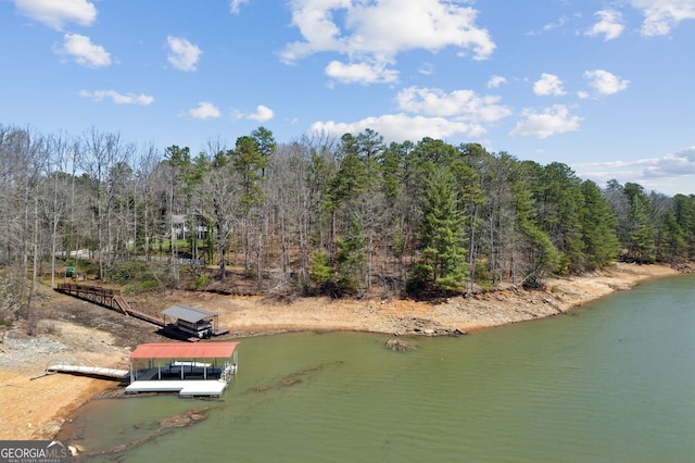 birds eye view of property featuring a water view and a view of trees